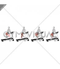 Walking Backward on a Treadmill (male)