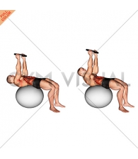 Weighted Overhead Crunch (on stability ball)