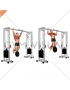 Weighted Pull-Up