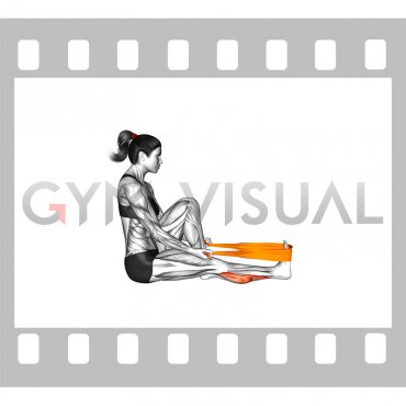 Resistance Band Seated Calf Stretch (female)