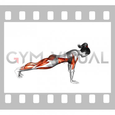 Chaturanga Dandasana (Four Limbed Staff Pose) (female)