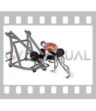 Lever Bent Over Row (with chest support)