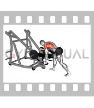 Lever Bent Over Single Arm Neutral Grip Row (with chest support)