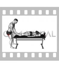 Leg Length Test (female)