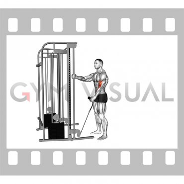 Cable Standing One Arm Hammer Curl with Rope Attachment