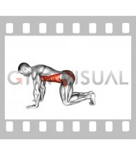Plank from Knees (male)
