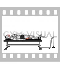 Lever Lying Knee Flexion (male)