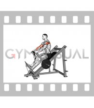 Lever Linear Delt Row (male)