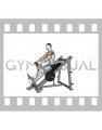 Lever Linear Delt Row (male)