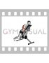 Dumbbell Single Arm Row with Chest Supported