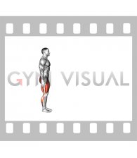 Long Distance Lunge (Low Lunge)