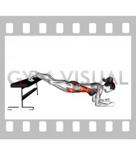 Narrow Leg Bench Bridge (female)