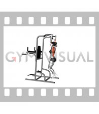 Top Pull-up Hold (female)