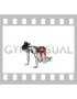 Kneeling Alternating Leg Lift Crossover (female)