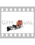Glute Bridge Alternating Straight Leg Open (female)