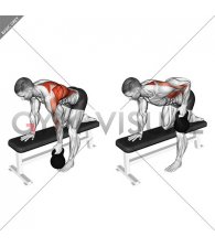 Kettlebell Bent over Row