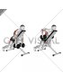 Dumbbell Row with Chest Supported