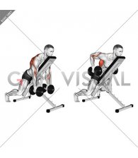 Dumbbell Row with Chest Supported
