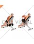 Dumbbell Row with Chest Supported