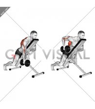 Dumbbell Single Arm Row with Chest Supported