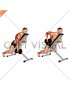 Dumbbell Single Arm Row with Chest Supported