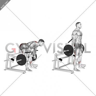 Lever Romanian Deadlift (plate loaded) (male)