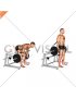 Lever Romanian Deadlift (plate loaded) (male)