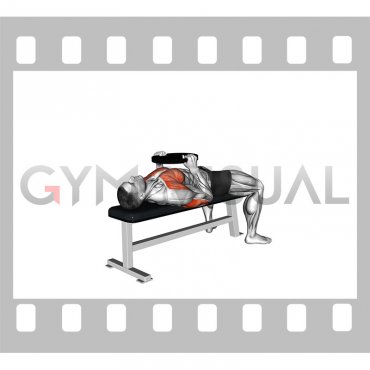 Weighted Plate Bench Press (male)