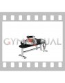 Weighted Plate Bench Press (male)