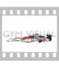 Prone Cobra Hands Interlocked (female)