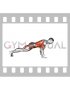 Bird Dog Push Up