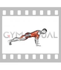 Bird Dog Push Up