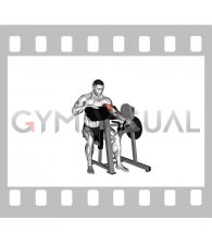 Lever Single Arm Preacher Curl (plate loaded)
