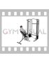 Cable Incline Single Arm Y Raise with Back Support (male)