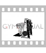 Lever Belt Romanian Deadlift (straight bar) (male)