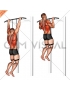 Band assisted pull-up