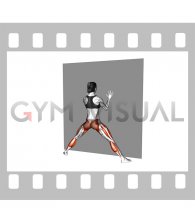 Alternate Side Lunge Wall Supported (female)