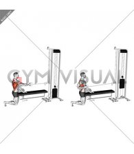 Cable Half Kneeling Single Arm Row (VERSION 2) (male)
