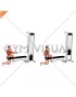 Cable Half Kneeling Single Arm Row (VERSION 2) (male)