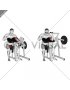 Lever Single Arm Preacher Curl (plate loaded)