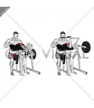 Lever Single Arm Preacher Curl (plate loaded)