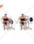 Lever Single Arm Preacher Curl (plate loaded)
