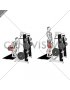 Lever Belt Deadlift (V bar) (male)