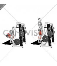 Lever Belt Deadlift (V bar) (male)