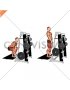 Lever Belt Deadlift (V bar) (male)
