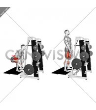 Lever Belt Deadlift (straight bar) (male)