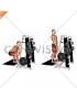 Lever Belt Deadlift (straight bar) (male)
