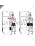 Cable 45 degrees Single Arm Reverse Fly (male)