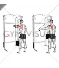 Cable 45 degrees Single Arm Reverse Fly (male)