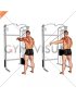 Cable 45 degrees Single Arm Reverse Fly (male)